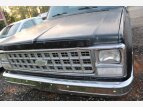 Thumbnail Photo 6 for 1980 Chevrolet C/K Truck